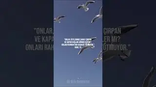 Onlar, üstlerinde kanat çırpan ve kapan kuşları görmezler mi?  #shorts #motivation #viral #nature