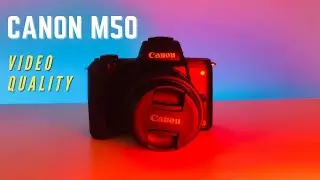 Canon M50 Video Quality