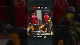 속도 표지판을 치고 만 노리스 | 2024 F1ㅣ이탈리아 그랑프리