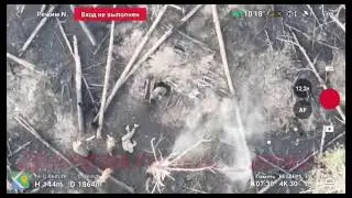 Штурма опорника ВСУ бойцами 6-й армии РФ, Харьковская область