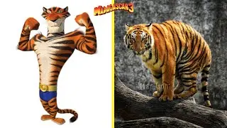 Madagascar 3 Characters In Real Life 🌴
