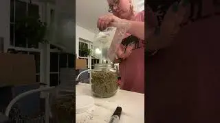 Feeding a Large Family New Spices on the Homestead 