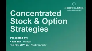 Concentrated Stock & Option Strategies