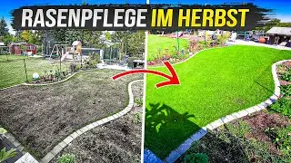 Willst du einen dichten Rasen? Dann schau dir dieses Video im Herbst an!