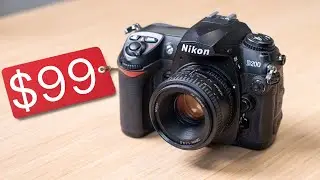 The Cheapest DSLRs Worth Buying Today