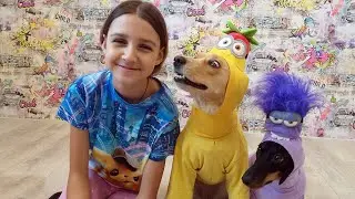 Хеллоуинские Костюмы для СОБАК из Старых Вещей и Игрушек