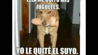 Chistes y fotos graciosas