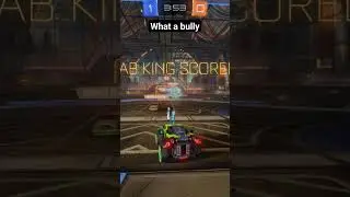 T bag bullies 