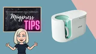 Mokken pers tips! | Teddie B.