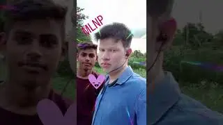 MLNP