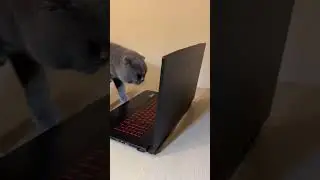 Барон и его новая покупка 😁