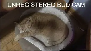 Ben Heck's 2023 Charity Stream