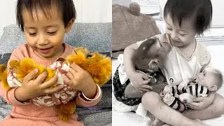 Diem can not forget her feelings for Monkey Kaka and Mit
