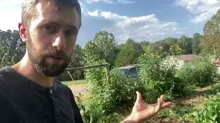 3 Cash Crops on our Small Farm
