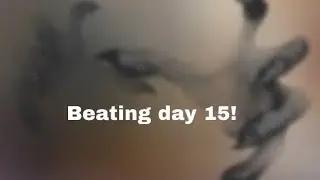 Beating day 15…  (Call of mini zombies)