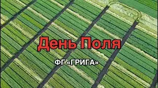 День Поля ФГ 