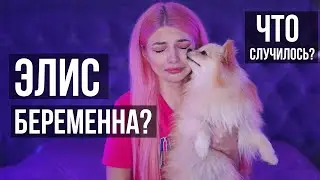 ЭЛИС БЕРЕМЕННА? ЧТО СЛУЧИЛОСЬ?!