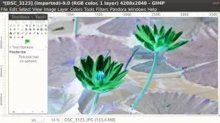 GIMP Colour Invert