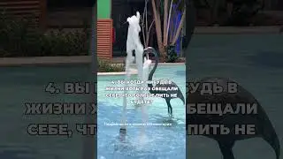 Тест на контроль алкоголя 