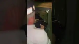 Сотрудник срывает тонировку