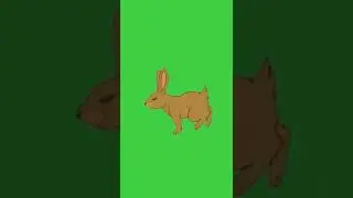 rabbit running green screen | bunny running green screen | #green #greenscreen #greenscreenvideo
