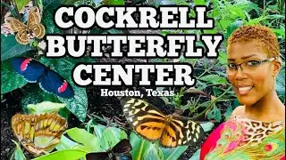 COCKRELL BUTTERFLY CENTER|HOUSTON, TEXAS