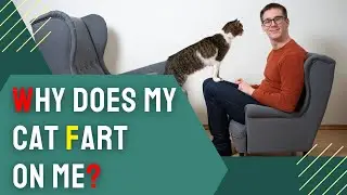 Why Does My Cat Fart on Me? Understanding Feline's Gas!