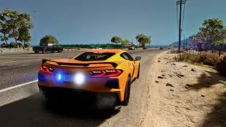 Playing with mods while my lspdfr is broken