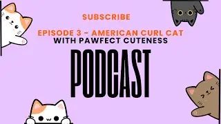 Episode 3 - American Curl Cat Breed: Characteristics and Care
