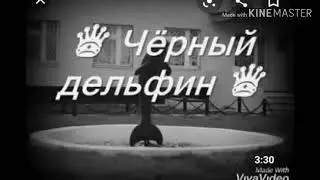 Чёрный делфин qöshiği haqida siz bilmagan ma'lumotlar U yerda odamxörlar ham bor😤🤯