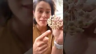 Who knew Hoya Blooms were this satisfying? 🌸