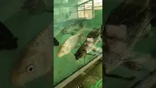 30 мая 2024 г.