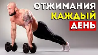 Вот Что Будет с Вашим Телом, Если Отжиматься Каждый День (Впечатляет)
