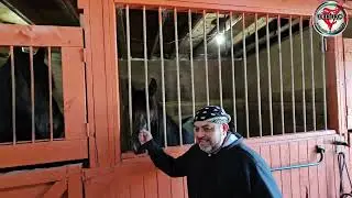 Conociendo El Establo 10/19/2024