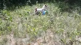 Мячик это весело! 🤘
