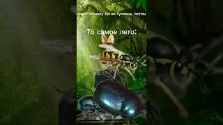 Скоро лето #тренд #рекомендации #врек #пжрек #роблокс #идеянемоя #актив #лето #скоролето #жиза