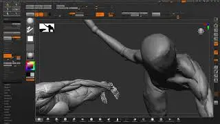 Getting Back into Sculpting Anatomy PART 4 - ZBRUSH