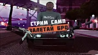 Играм в Arizona Role Play || Scottdale № 3