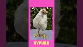 #угадай