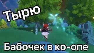 Тырю у Айви бабочек — Genshin Impact