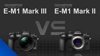 Olympus OM-D E-M1 Mark III vs Olympus OM-D E-M1 Mark II