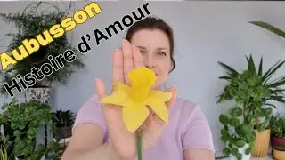 💛 Витончений та Бюджетний Шипровий Нарцис - Histoire d'Amour💛