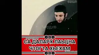 Са далар