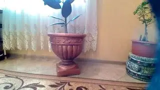 Вазон із бетона
