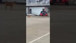 Magkaribal sa pagibig
