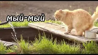 Кыргыз тил | Сырдык сөздөр