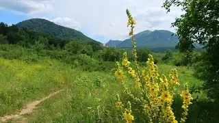 Лето. Природа Железноводска