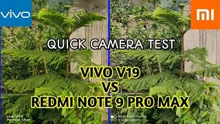 Redmi Note 9 Pro Max vs vivo V19 camera test | Vivo V19 vs Note 9 pro Max camera | Tech 4 Camera