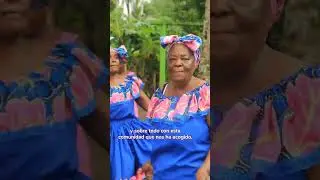 Video semana 26 al 30 de agosto