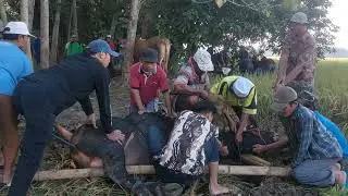 Qurban 2024 Pedagang Pasar Temon Kec Brati